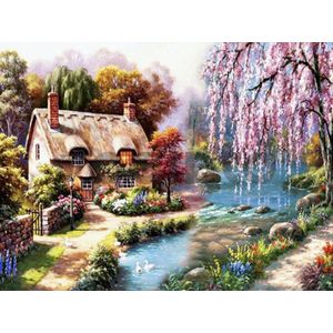 Paintd Diamond Painting Volwassenen Kinderen - Landschap Huis Rivier Zwanen - 30x40 - Vierkante steentje