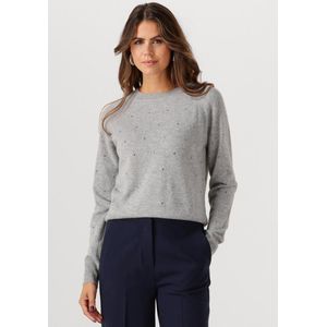 Fabienne Chapot - Lidi Rhinestone - Pullover - Grijs