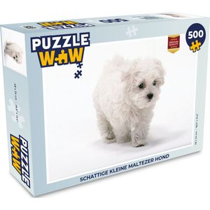 Puzzel Schattige kleine Maltezer hond - Legpuzzel - Puzzel 500 stukjes