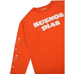 Wijd Shirt met Lange Mouwen Rey voor jongens en meisjes– Tangerine Tango | Ammehoela 110-116