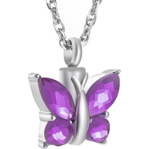 Assieraad Vlinder Paars Met Ketting