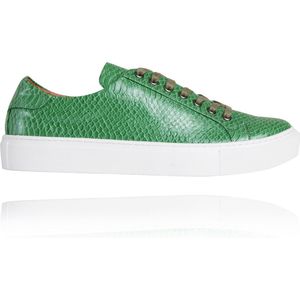 Green Froggy Sneaker - Maat 45 - Lureaux - Kleurrijke Schoenen Voor Heren - Veterschoenen Met Print