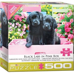 Eurographics Zwarte Labradors Pups in Roze Doos - 500 stukjes