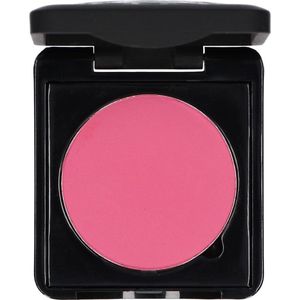 Make-up Studio Blusher in Box Type B - 49