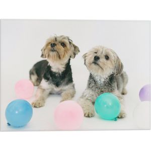 Vlag - Twee Kleine Honden Spelend met Ballonnen - 40x30 cm Foto op Polyester Vlag