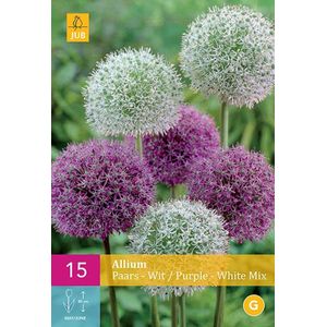 Jub Holland - bloembollen - Allium/Sierui Paars-Wit - maat 10/12 - 15 stuks