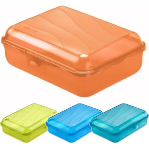 Rotho lunchbox FUN 1,25 l (20 x 14 x 6 cm) transparant 1250 ml