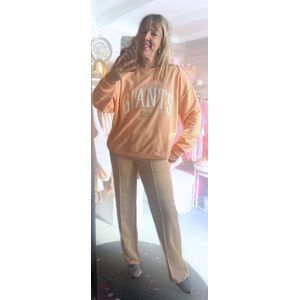 Pantalon jogger - musthave - casual - sportieve pantalon - wide leg - nette joggingbroek - Kleur Camel - Maat S/M