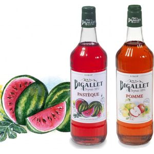 Bigallet sodamaker limonadesiroop voordeelpakket Appel & Watermeloen - 2 x 100 cl