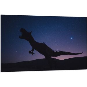 WallClassics - Vlag - Silhouette van een Dinosaurus in de Nacht - 120x80 cm Foto op Polyester Vlag