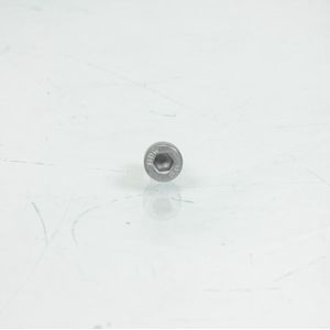 vizier btr m4 pas 0.7 l10mm voor scooter piaggio 300 beverly 2021 ap8152043