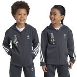 Adidas - Disney Mickey Mouse - Sweatshirt - Grijs - 5-6 Jaar - Met Rits
