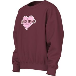 NAME IT - NKFVILOUI LS RLX SWEAT BRU - Sweatshirt - Meisjes - Lange Mouwen