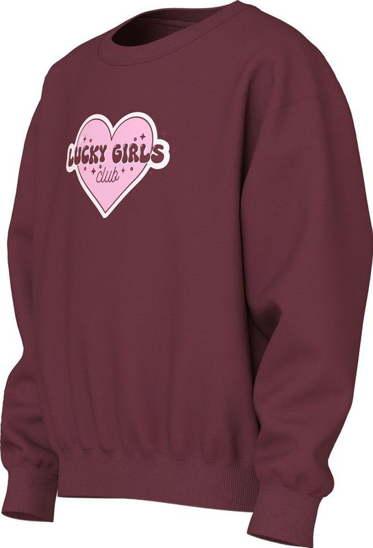 NAME IT - NKFVILOUI LS RLX SWEAT BRU - Sweatshirt - Meisjes - Lange Mouwen