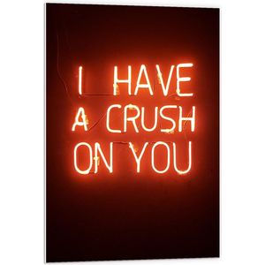 Forex - Rode Neonletters: ''I Have A Crush On You'' - 60x90cm Foto op Forex