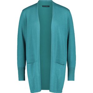 Gebreid Vest - Effen - Lange Mouw - V-hals - Normale Pasvorm