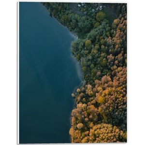 WallClassics - PVC Schuimplaat - Zee met een aanliggend Bos - 30x40 cm Foto op PVC Schuimplaat (Met Ophangsysteem)