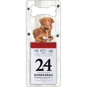 Scheurkalender 2024 Hond: Nova Scotia Duck Tolling Retriever