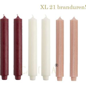 Cactula Dinerkaarsen XL 3,2 x 30 cm in 3 kleuren Appels-sDonkerrood / Ivoor / Abrikoos 21 BRANDUREN