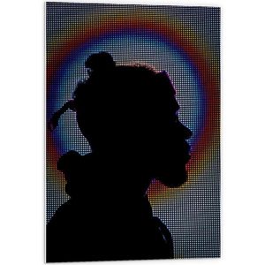 Forex - Gekleurde Achtergrond met Silhouette ervoor - 60x90cm Foto op Forex