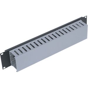 Triton 19"" panel 2U with cable trunking