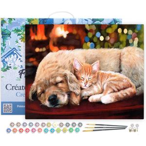 Figured'Art Schilderen op Nummer Volwassenen met lijst - Dutje met vrienden - Handwerk acrylverf Kit DIY Compleet - 40x50cm Canvas al ingelijst