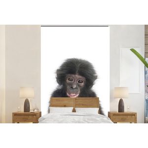 Aap - Dieren - Natuur - Chimpansee - Behangpapier