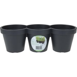 Ecken & Kanten Kruidenpot 40 X 15 X 13 Cm Kunststof Antraciet