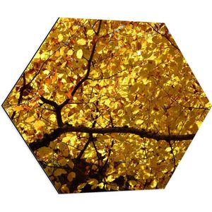 WallClassics - Dibond Hexagon - Dekbed van Gele Bladeren - 70x60.9 cm Foto op Hexagon (Met Ophangsysteem)