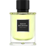 David Beckham Instinct Eau de Parfum 75 ML