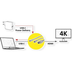 ROLINE USB type C - HDMI + USB C (PD) adapterkabel, M/M +F, 2 m