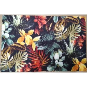 FOTAPIJT - Badmat - Bedrukte deurmat - Binnen - Termo Antislip - 40x60 cm - 6 mm - Wasbaar - Polyamide