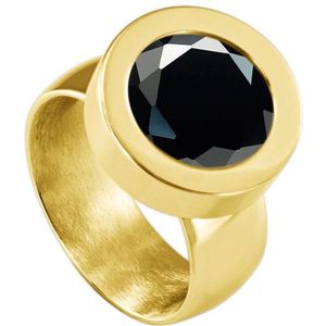 Quiges RVS Schroefsysteem Ring Goudkleurig Glans 17mm met Verwisselbare Geslepen Zirkonia Zwart 12mm Mini Munt