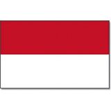 Vlag Indonesie 90 x 150 cm feestartikelen - Indonesie landen thema supporter/fan decoratie artikelen