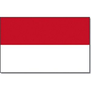 Vlag Indonesie 90 x 150 cm feestartikelen - Indonesie landen thema supporter/fan decoratie artikelen