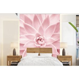 Bloem - Roze - Natuur - Plant - Behangpapier