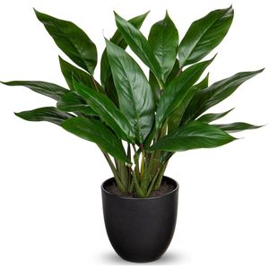 Kunstplant als echte kunstplant, decoratieve plant Calathea, struikachtig met 22 bladeren in kunststof pot, kamerplant, hoogte 43 cm, groen