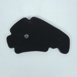 p2r luchtfilter voor peugeot 250 geo rs scooter 2008 tot 2010 nieuw schuim