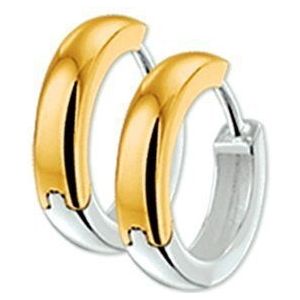 TFT klap-oorringen 4,5 Mm Bol Bicolor Goud Glanzend