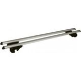 Pro Plus Dakraildrager - Lengte 120 cm - Aluminium - Maximale Belasting 90 kilo - 2 stuks