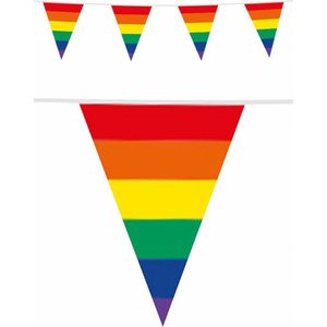 Regenboog thema vlaggenlijn/vlaggetjes 10 meter - Dubbelzijdig bedrukt