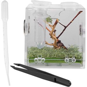 Transparant terrarium voor spinnen en reptielen - voederbox met accessoires - acryl