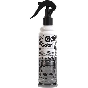 Gabri Two Phase Conditioner Milk Therapy 400ml