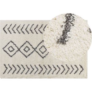 AYRUM - Shaggy tapijt - Beige/Grijs - 160 x 230 cm - Polypropyleen