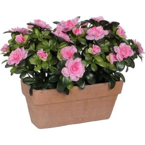 Mica Decorations Azalea Kunstplant in Balkonbak Slate - L29 x B13 x H27 cm - Roze