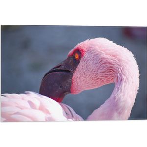 Vlag - Roze Flamingo met Oranje Oog - 60x40 cm Foto op Polyester Vlag