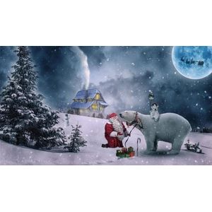 Diamond painting volwassenen - Diamond painting kerst - Ijsbeer met de kerstman 50x40cm - Ronde steentjes - Volledig pakket