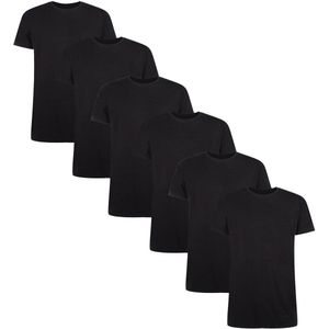Bamboo basics T-shirt RUBEN Set van 6