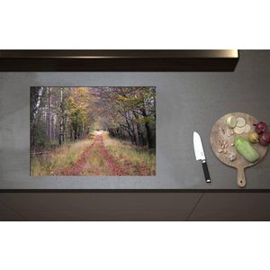 Inductieplaat Beschermer - Bospad in een Bos in Nederland - 70x50 cm - 2 mm Dik - Inductie Beschermer - Bescherming Inductiekookplaat - Kookplaat Beschermer van Zwart Vinyl