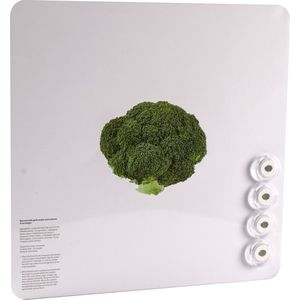 Dresz Magneetbord | Whiteboard | Beschrijfbaar | Inclusief 4 Magneten | 2 Montagehaken | Broccoli | 29 x 29 cm | Groen